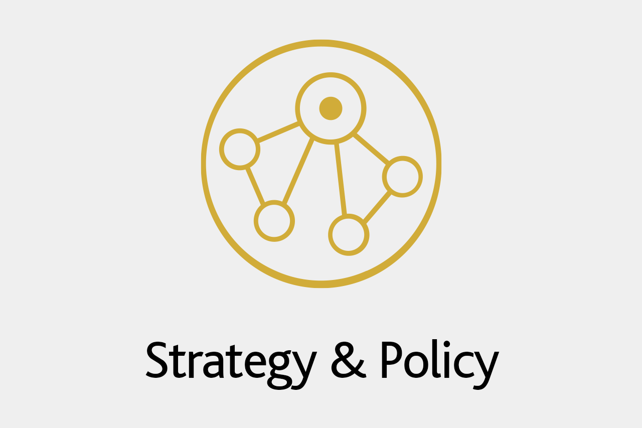 strategy-policy